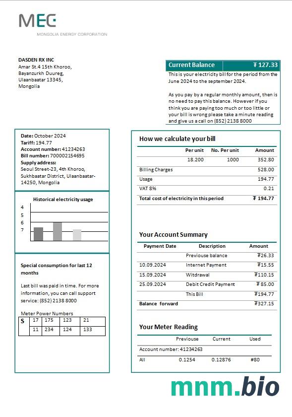 Mongolia Energy Corporation (MEC) szablon rachunku za energię elektryczną w formatach Word i PDF
